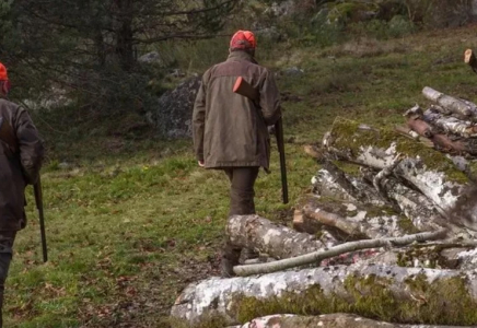 Жануарлар мен құстарды аулау: ережелерге өзгерістер енгізілді