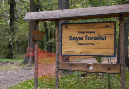 “Баум тоғайына“ қатысты дау: Сатыбалдының командасы мәлімдеме жасады