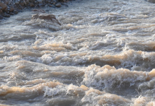 ​БАДАМ ӨЗЕНІНІҢ ЖАҒАЛАУЫНДА ТАСҚЫН ҚАУПІ ЖОҚ