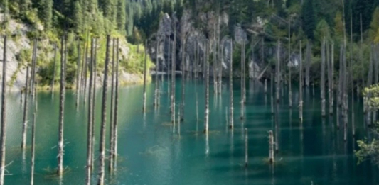 Алматы облысында Қайыңды көліне апаратын тас жол салынып жатыр