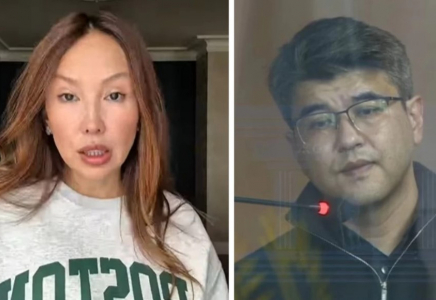 Бишімбаев алиментті аз төлеу үшін мүлкін үлкен ұлының атына жаздырған