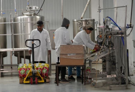 ТҮРКІСТАН: Түлкібаста жеміс-жидекті терең өңдейтін зауыт ашылды