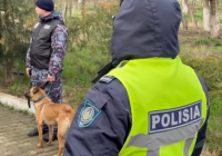 ​ШЫМКЕНТ: саябақта есірткі жасырып жүргендер ұсталды