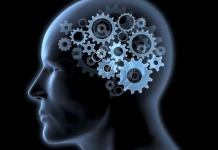 Әлемді таңғалдырған дарындар: ЕҢ жоғары IQ иеленген ТОП 5 студент