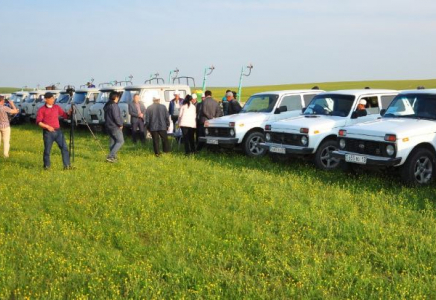 ТҮРКІСТАН: 334,8 мың га жерге шегірткеге қарсы дәрілеу жұмыстары жүргізілді
