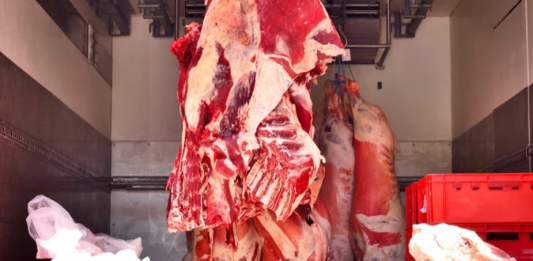 Қазақстанның Ресейден мал мен ет әкелуге не себепті шектеу енгізгені белгілі болды