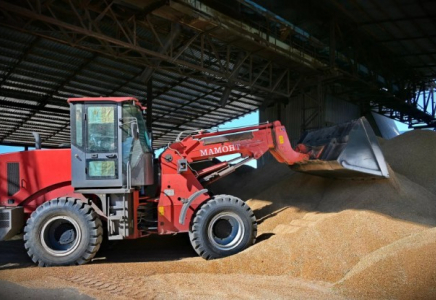 Ақмола облысында астықты терең өңдеу зауыты салынады