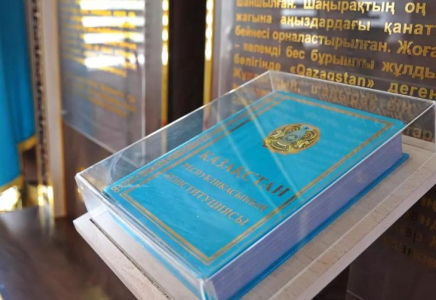 ​В Шымкенте ко Дню Конституции предусмотрена единовременная социальная помощь детям