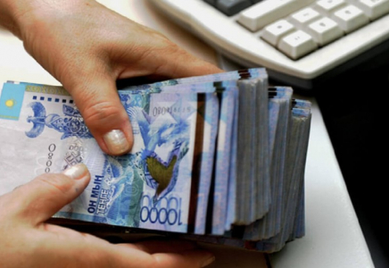 Министр БЖЗҚ-дан алынатын миллиардтаған қаржының қайда жұмсалатынын айтты