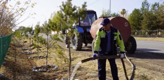 «ТАЗА ҚАЗАҚСТАН»: Түркістан облысында «Таза қала» және «Таза ауыл» акциялары өтті