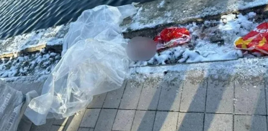 Мәскеудегі 7 жастағы баланың өлімі жайлы тың деректер жарияланды