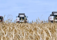 Ауыл шаруашылығы субсидиясы бойынша берешек 300 млрд теңгеден асты Ауыл шаруашылығы субсидиясы бойынша берешек 300 млрд теңгеден асты