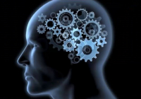Әлемді таңғалдырған дарындар: ЕҢ жоғары IQ иеленген ТОП 5 студент