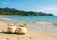 ​Азия дәмі: кокостан қандай ерекше мәзірлер дайындалады?