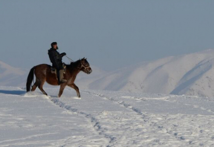 Қарағандыда мал іздеуге шыққандар жоғалып кетті