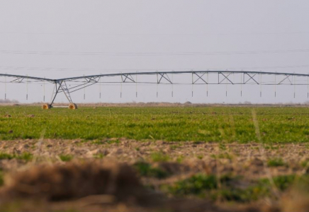 Түркістан облысында 114 мың гектар жерге су үнемдеу технологиялары енгізілді