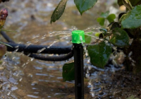 Қазақстанда мемлекеттік қолдау шараларының арқасында су үнемдеу технологияларын енгізу қарқыны бес есе жеделдеді