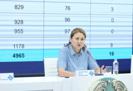 ШЫМКЕНТ: құтыруға қарсы екпе тегін жүргізіледі