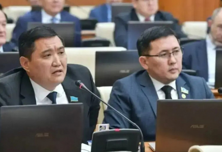 Депутат жұма күні сайын мемлекеттік қызметшілерді жұмыстан толық босатып, кітапханаға жіберуді ұсынды