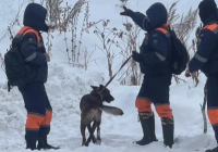 Алматы тауларында қыз баланың мәйіті табылды