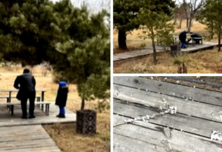 Астанада саябақта балалардың көзінше үйрек сойған ер адам жұртты шошытты