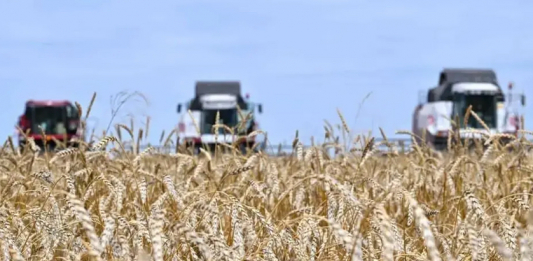 ​Ауыл шаруашылығы субсидиясы бойынша берешек 300 млрд теңгеден асты