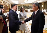 Түркістан облысының әкімі Хубэй провинциясы губернаторымен ресми кездесу өткізді