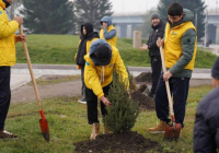 «Таза Қазақстан»: 2025 жылы ШҚО-да 127 экологиялық іс-шара өткізілді