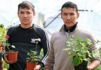 ТҮРКІСТАН: Келестік ағайынды шаруалар 50 түрлі гүл өсіреді