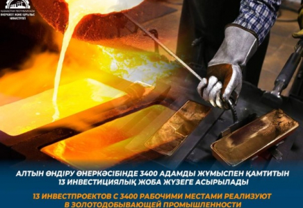 ​Алтын өндіру өнеркәсібінде 3400 адамды жұмыспен қамтитын 13 инвестициялық жоба жүзеге асырылады