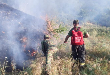 Алматыда тау бөктері өртенді 