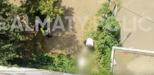 Алматыда зейнеткер тұрғын үйдің терезесінен құлап кетті 
