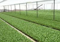 ТҮРКІСТАН: Жетісайда үйіргелік жерлерді тиімді пайдалану жұмыстары күшейтілді