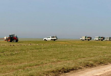 Түркістан облысында 275 мың гектар алқап өңделді