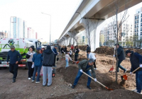 «Таза Қазақстан»: ОКҚ қызметкерлері Астанада ағаш отырғызды