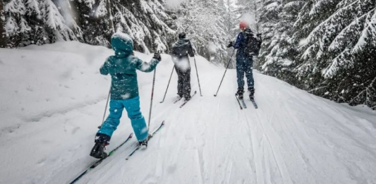 Алматы мектептерінде оқу бағдарламасына шаңғы спорты енгізілуі мүмкін