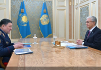 Мемлекет басшысы Ержан Сәденовті қабылдады