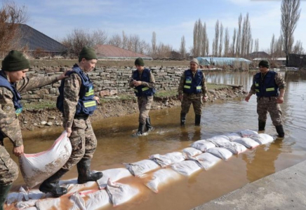 Тараз қаласында тұрғын үйлерді су басты