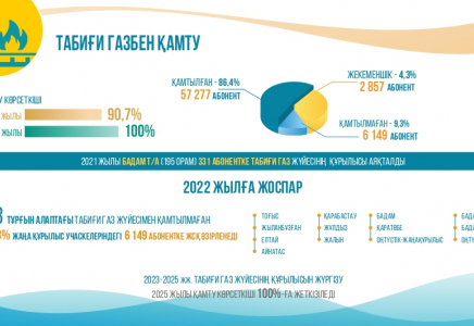 Шымкент қаласын газдандыру биыл 94,7  пайызға жетеді