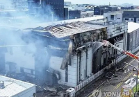 Оңтүстік Кореяда зауытта болған өрт салдарынан 22 адам қаза тапты