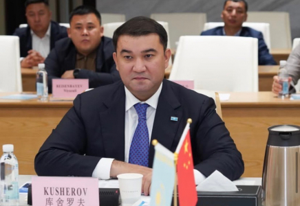 Түркістан облысы мен Wuhan Financial Holdings арасында әріптестік мәселелер талқыланды