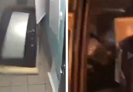 Иесі жалғыз қалдырған ит пәтерде жарылыс жасады