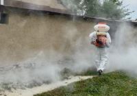 ТҮРКІСТАН: Кентауда көктемгі дезинфекция жұмыстары жүргізіліп жатыр