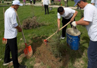 «ТАЗА ҚАЗАҚСТАН»: Түркістан облысында көгалдандыру жұмыстары жүргізілді