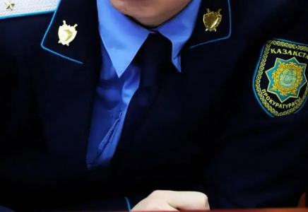 Жамбыл облысында екі баланы ұрып-соғу фактісіне қатысты тың ақпарат шықты