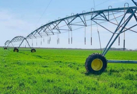 Түркістан облысы су үнемдеу технологияларын енгізу бойынша көш бастап тұр