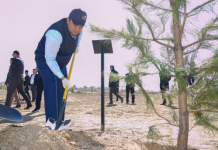 ТҮРКІСТАН: Бас мүфти және облыс әкімінің қатысуымен ағаш егу акциясы өтті