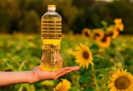 ТҮРКІСТАН: Сарыағашта күнбағыс майын өндіретін зауыт салынып жатыр