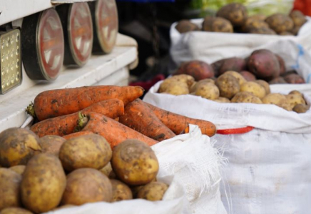 ТҮРКІСТАН: Қазығұртта ауыл шаруашылығы жәрмеңкесі өтті