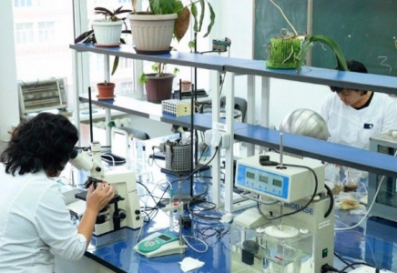 ​Жекеменшік ғылыми ұйымдардың ғалымдары да 56 күндік еңбек демалысын алады — заң жобасы